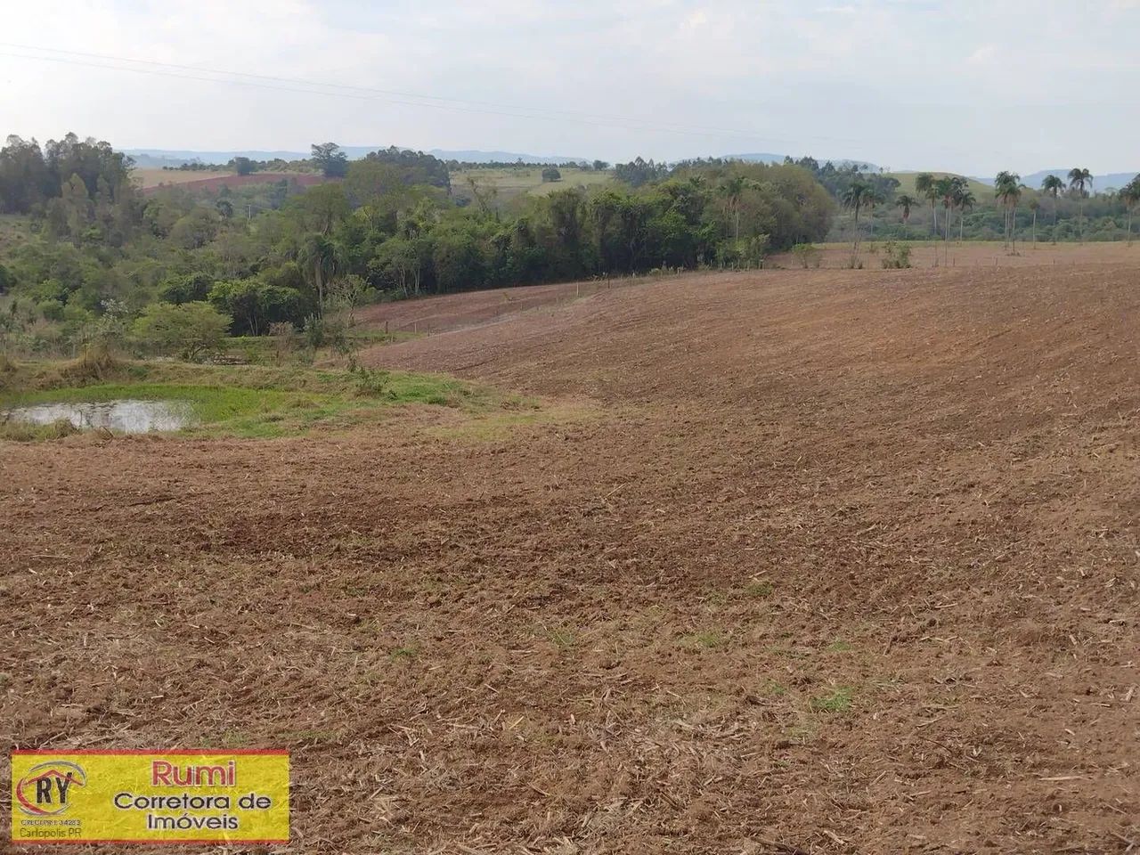 Vende-se Sítio 4.75 alqueires em Carlopolis PR - Foto 2