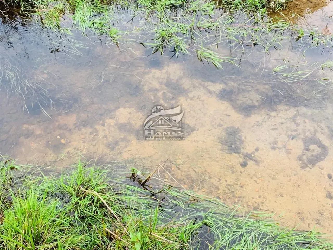 Sítio para Venda em Angelina, TERCEIRA LINHA, 1 dormitório, 1 vaga - Foto 5