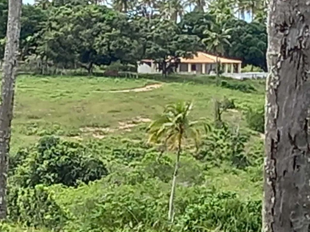 , Fazenda São João Evangelista - Foto 4