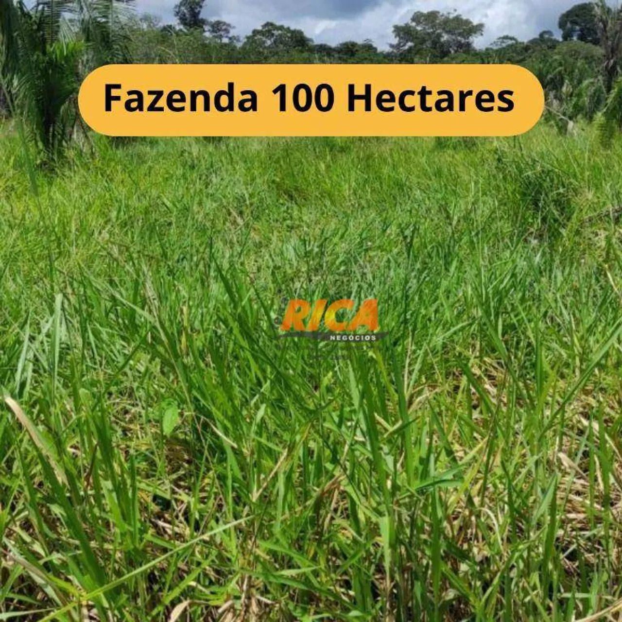 Fazenda à venda, com 100 hectares na área Rural de Porto Velho/RO