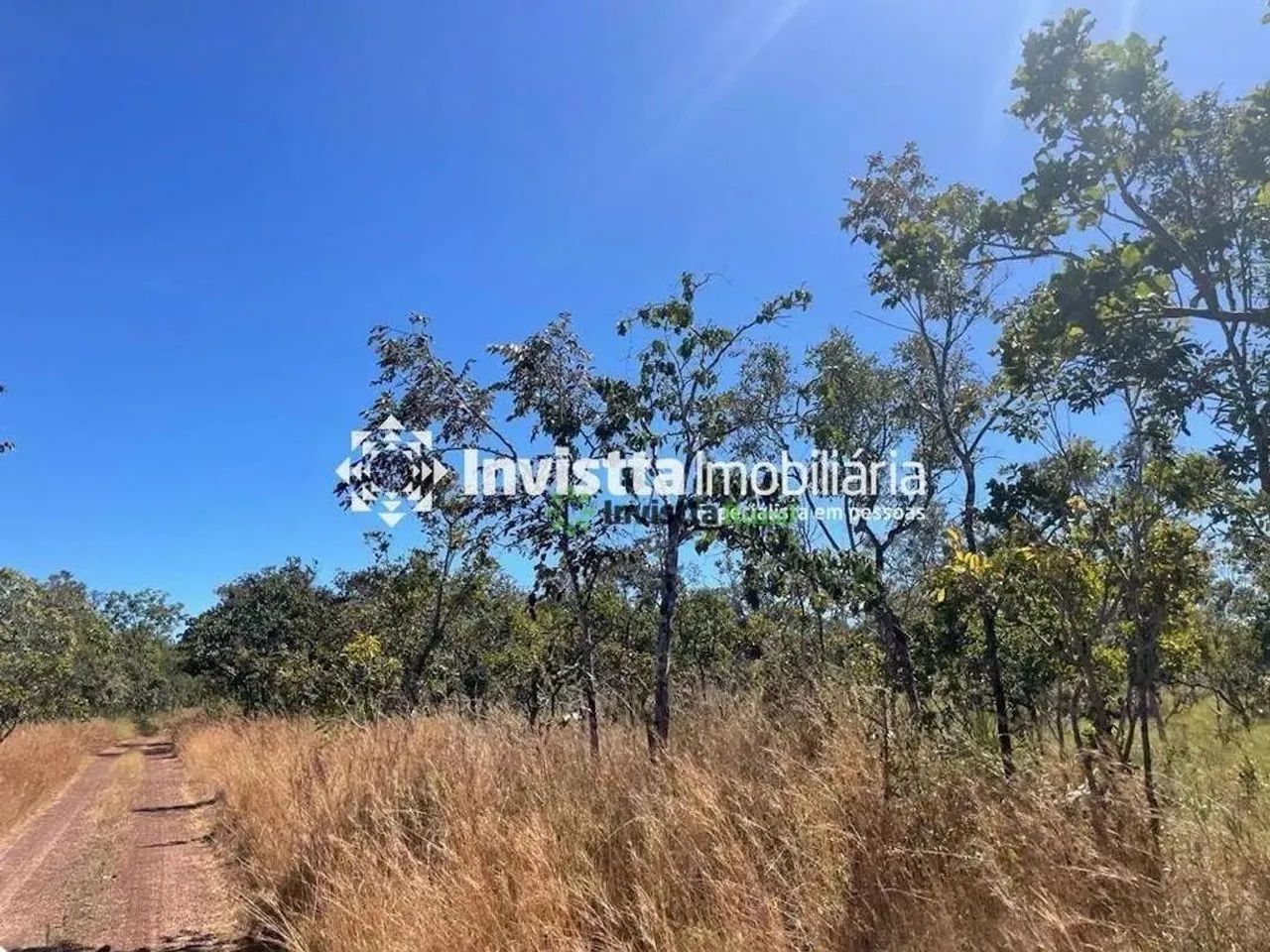 Fazenda com 900 alqueires para lavoura em Almas - Foto 6