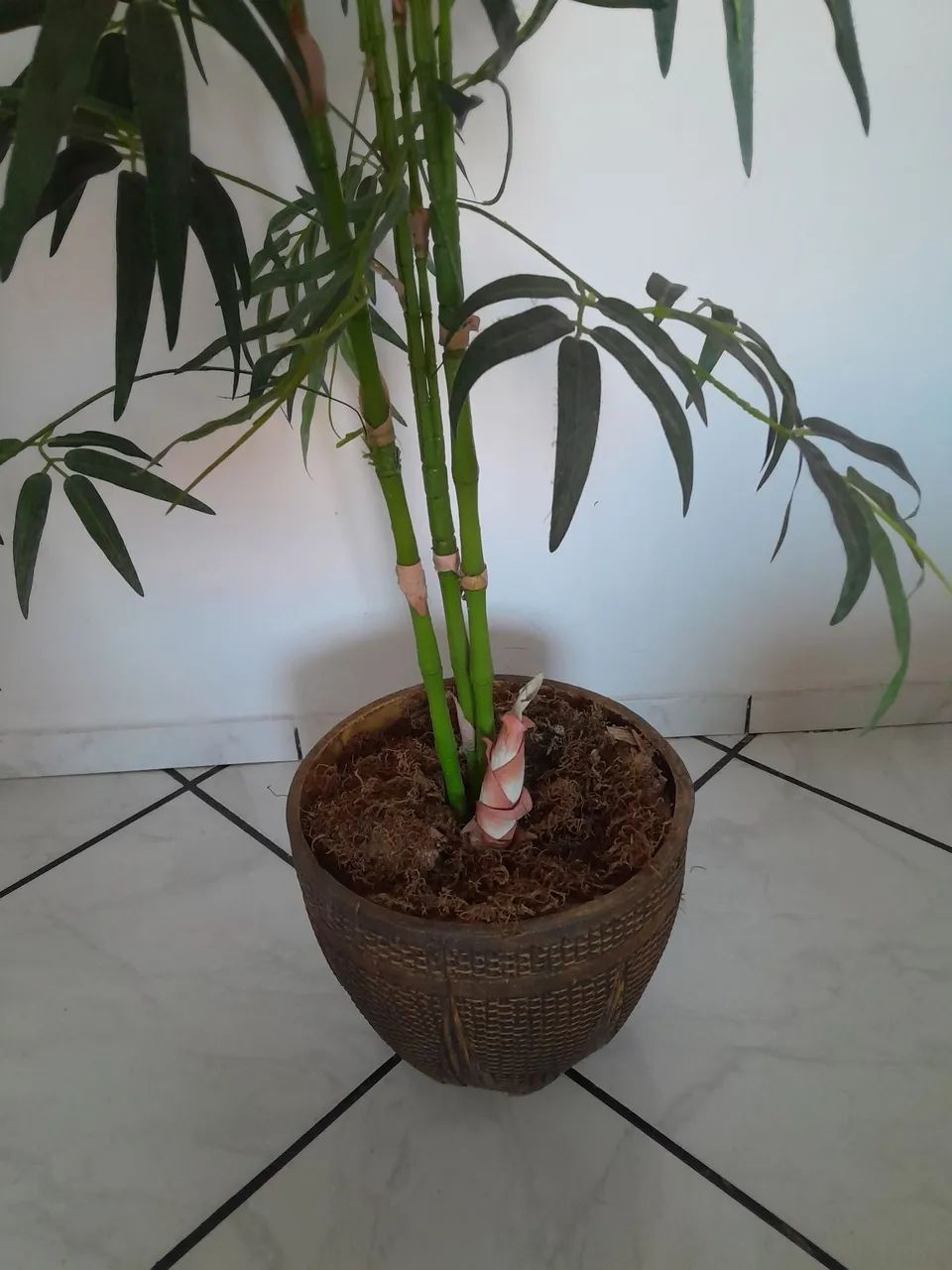 Vendo Coqueiro artificial de 1.70cm com vazo rústico - Foto 3