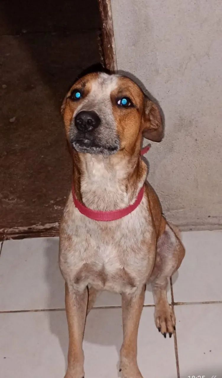 Doação  - Foto 2