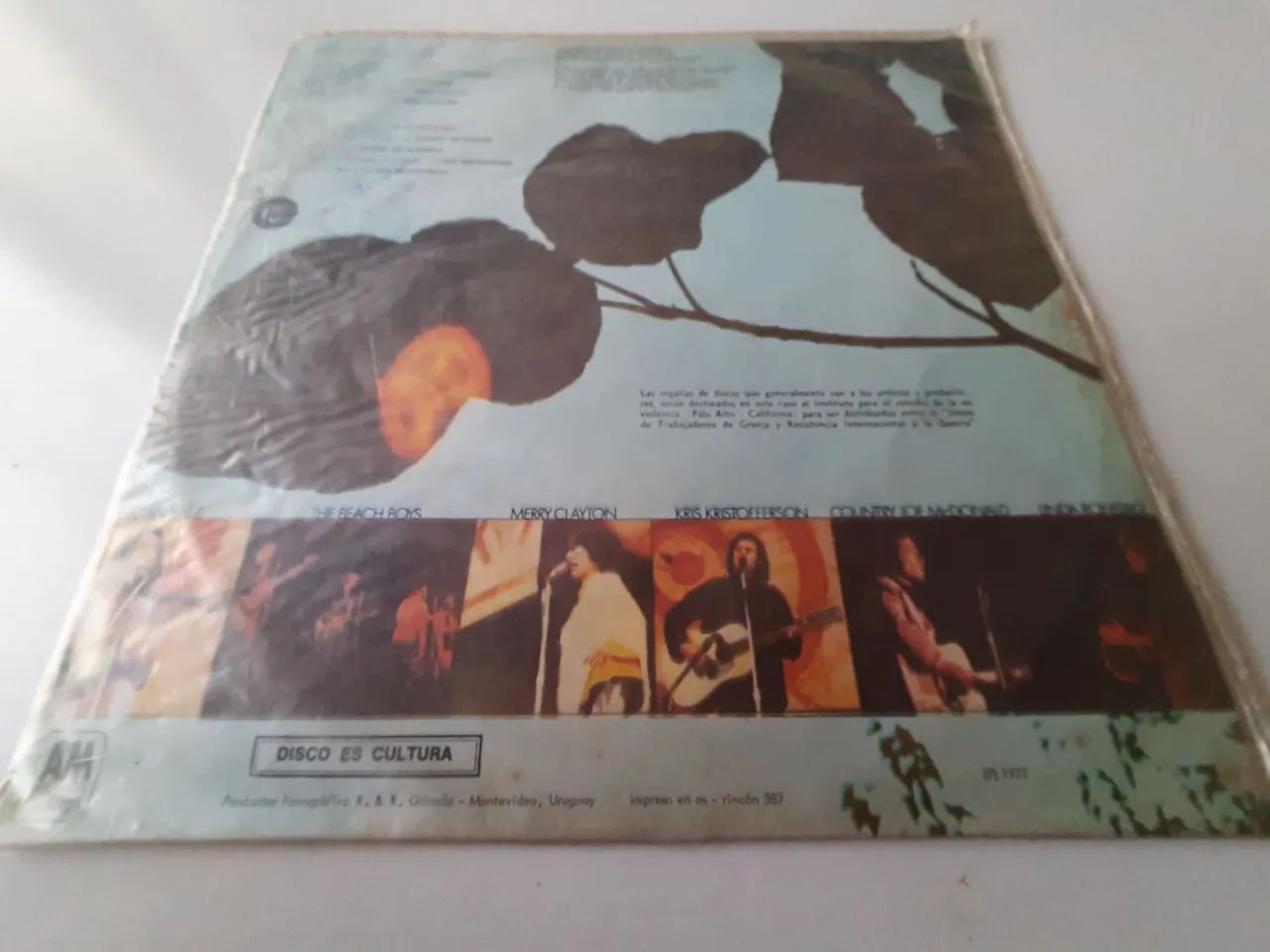 LP The Beach Boys, Joan Baez, Country Joe McDonald - Celebration (Gran Festival del Sur, - Foto 2