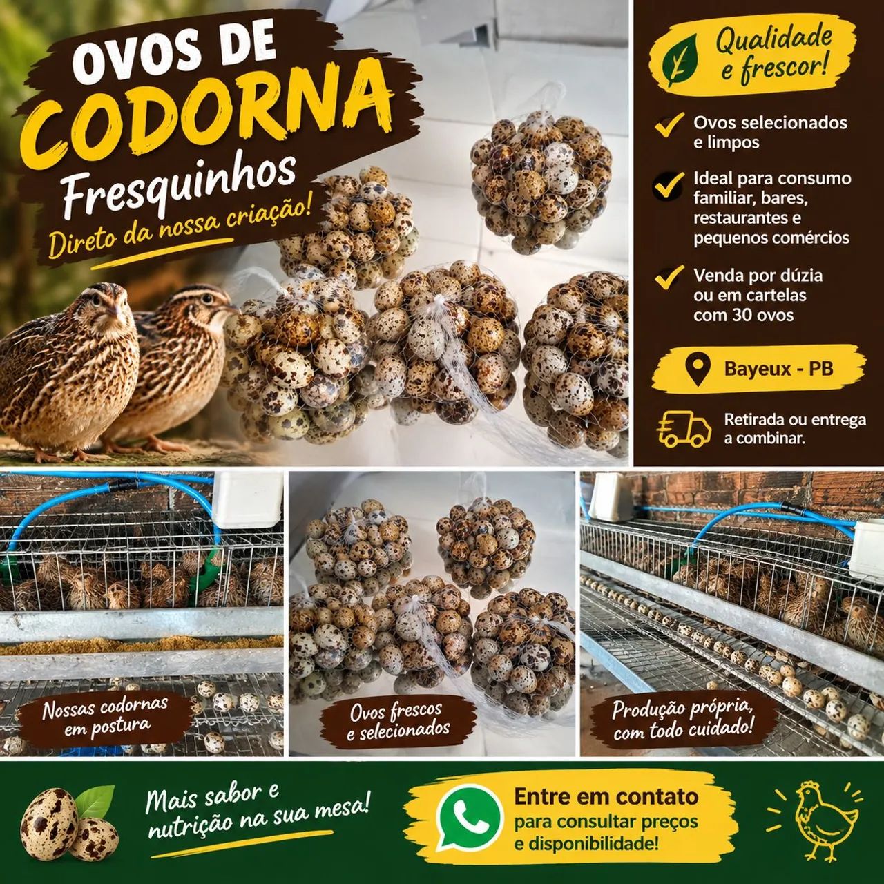 Ovos de Codorna