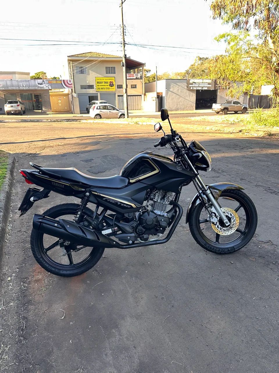 Factor 150 2024 completa