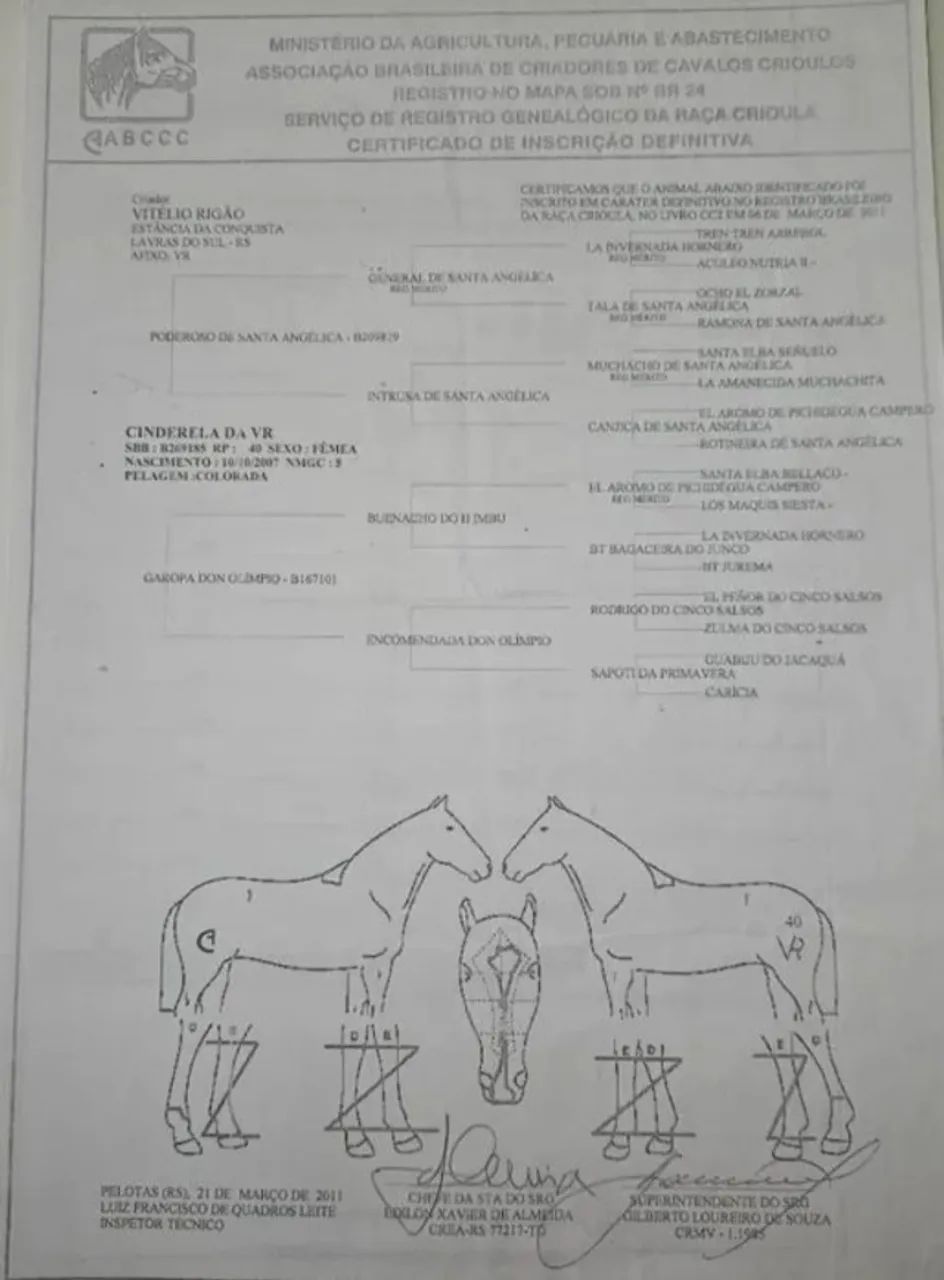 Egua Preenha com Documento - Foto 5