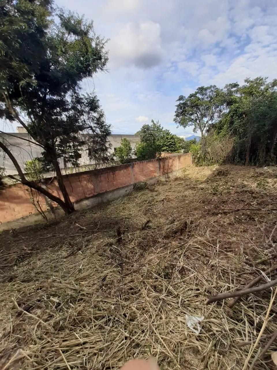 Lote Bairro Liberdade - 253,61 m² - Foto 3