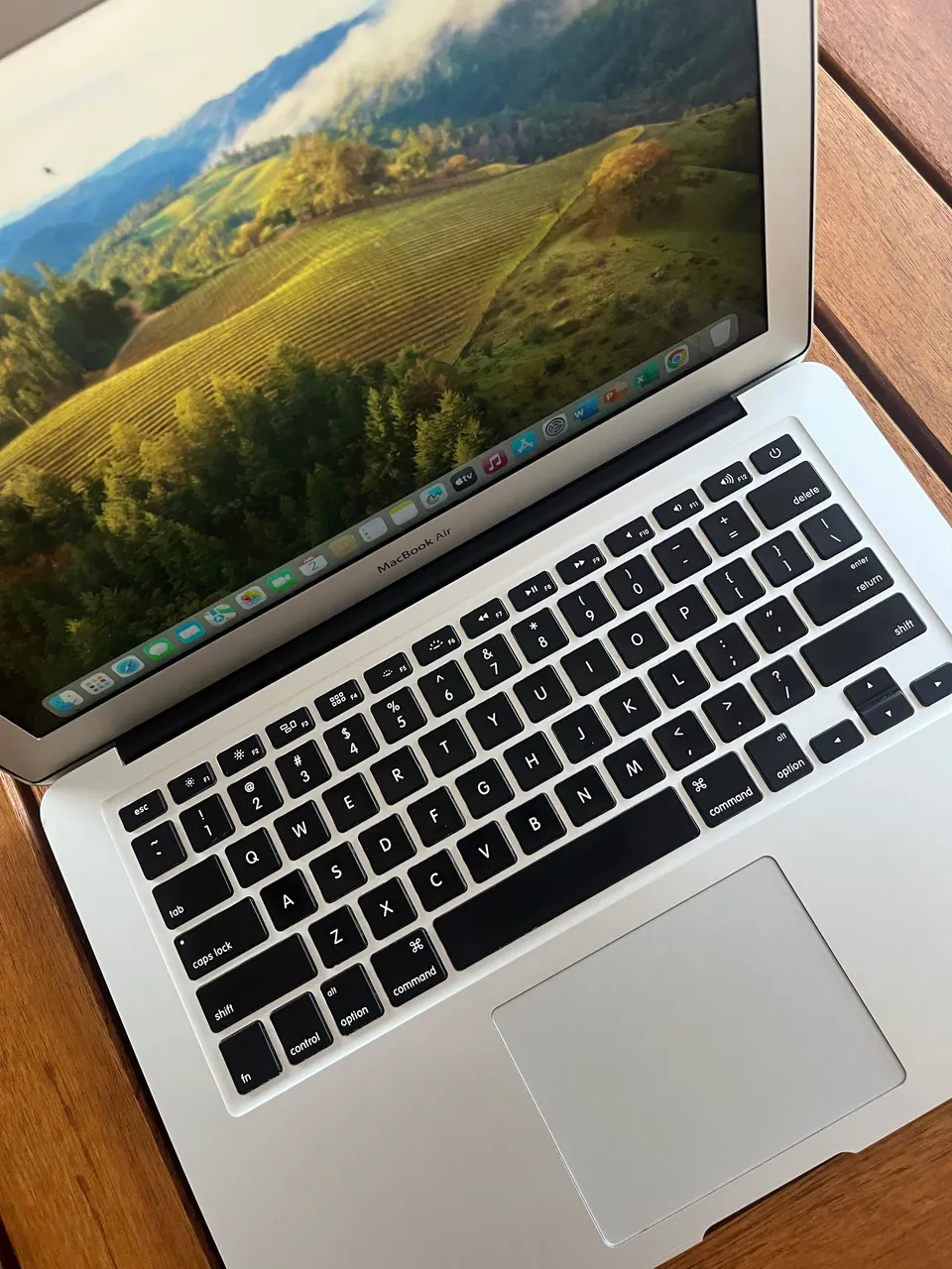 MacBook Pro (Retina, 13-inch, Early 2015) - Notebooks - Jardim da