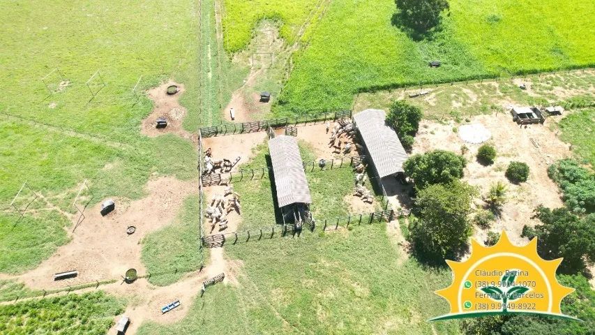 Fazenda entre Unaí e Paracatu-Mg - Foto 5