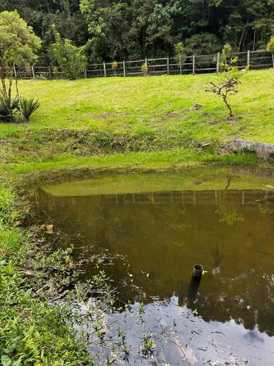 Chácara em Anitápolis - SC - Foto 5
