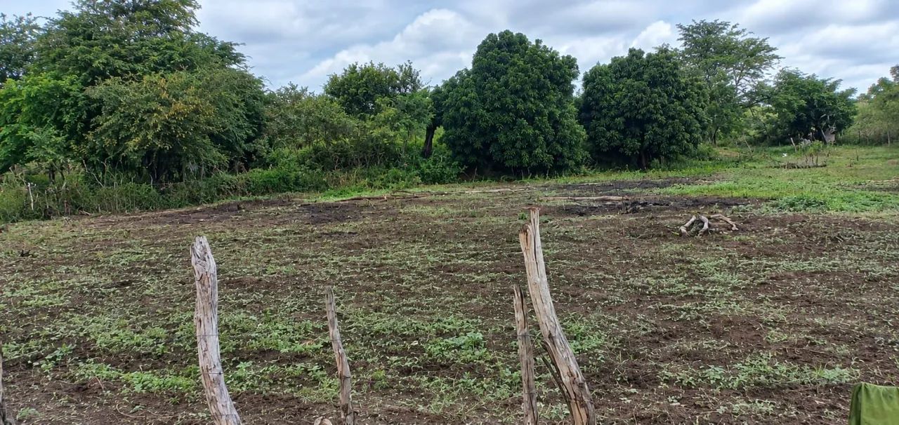 Vende se  terreno no povoado lagoinha - Foto 3