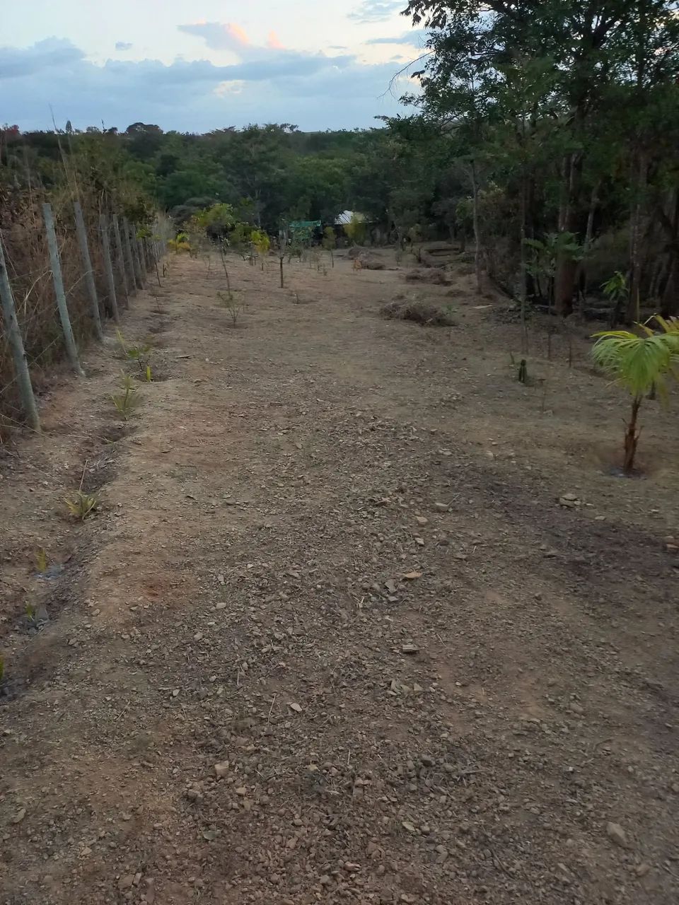 Foto - Brasília - Setor Habitacional Vicente Pires