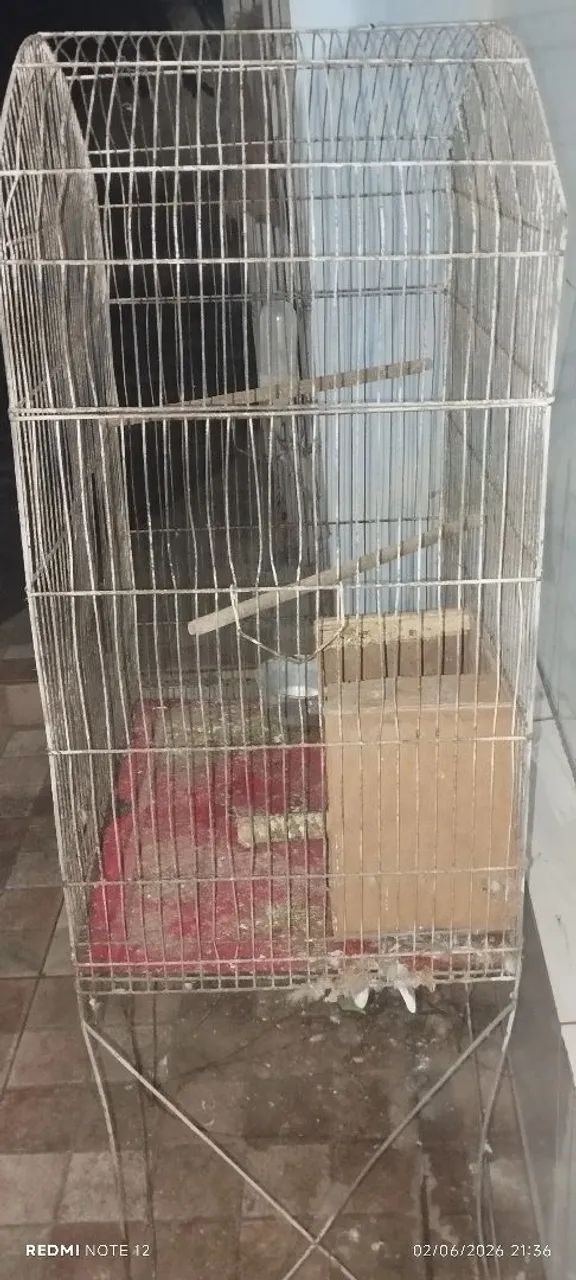Gaiola - Foto 2