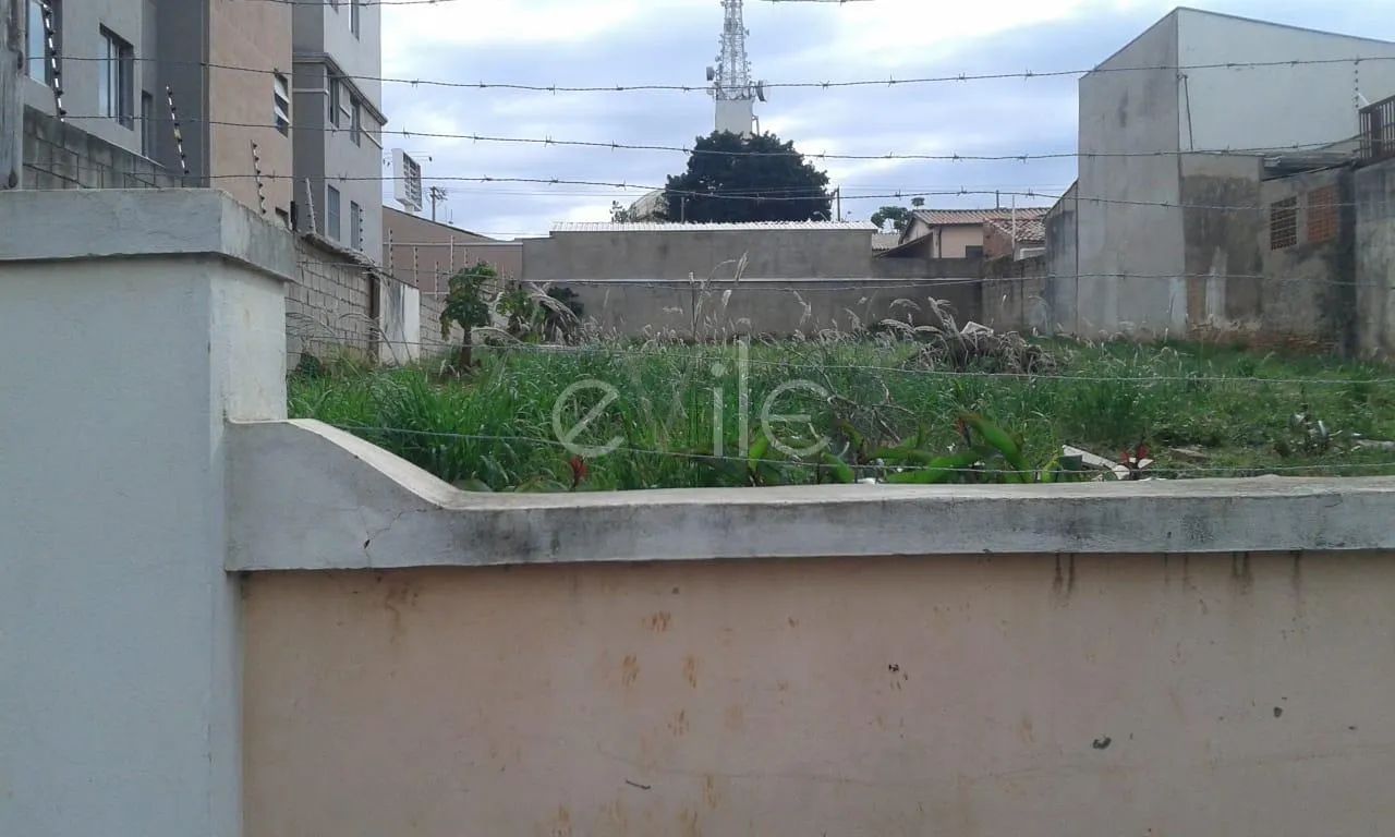 terreno - Bonfim - Campinas - Foto 3
