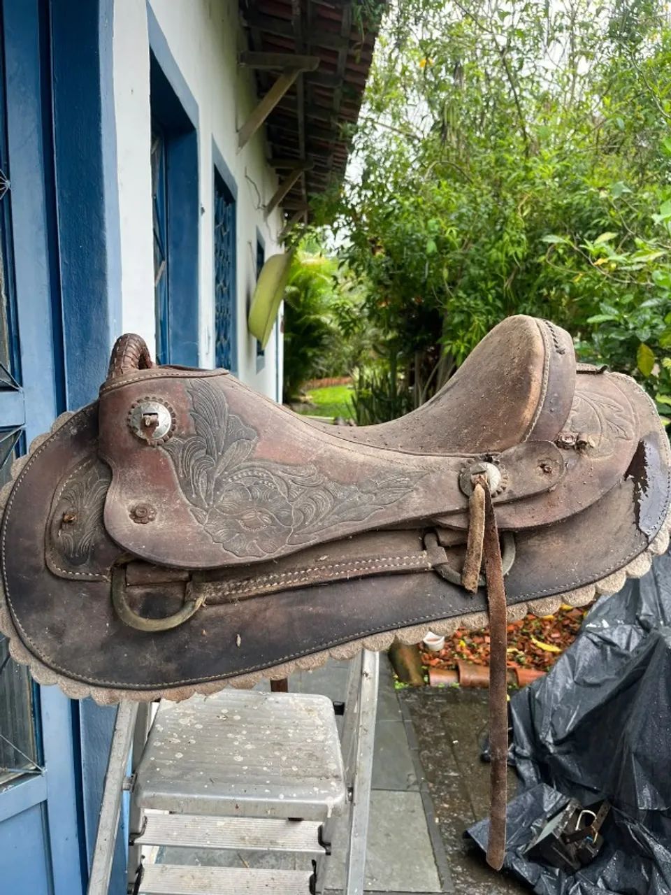 Cela de Cavalo - Foto 2