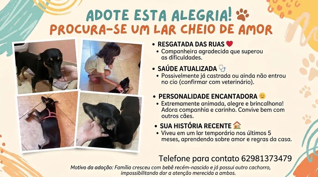 Adoção responsável 