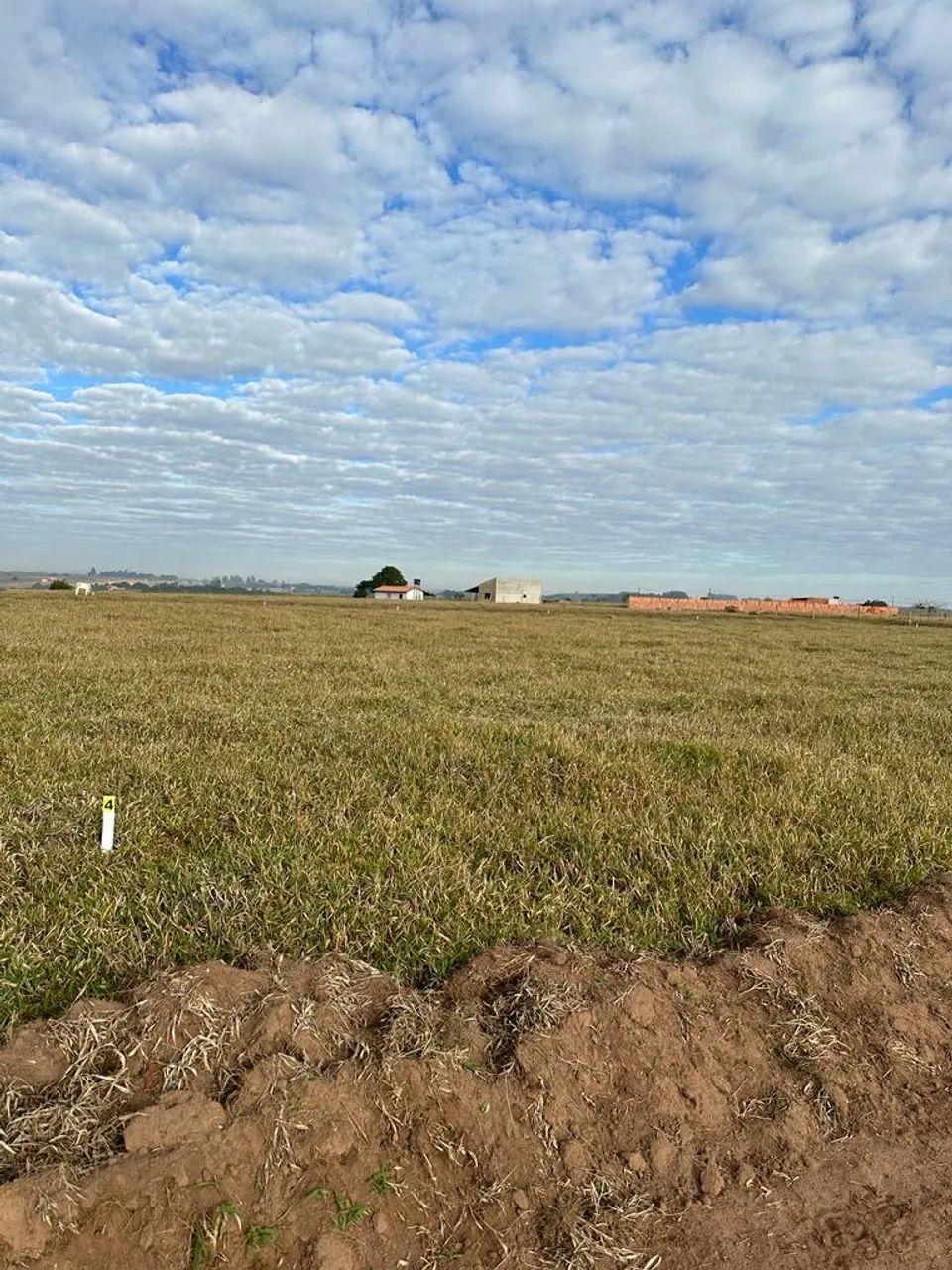 Terrenos  - Foto 4