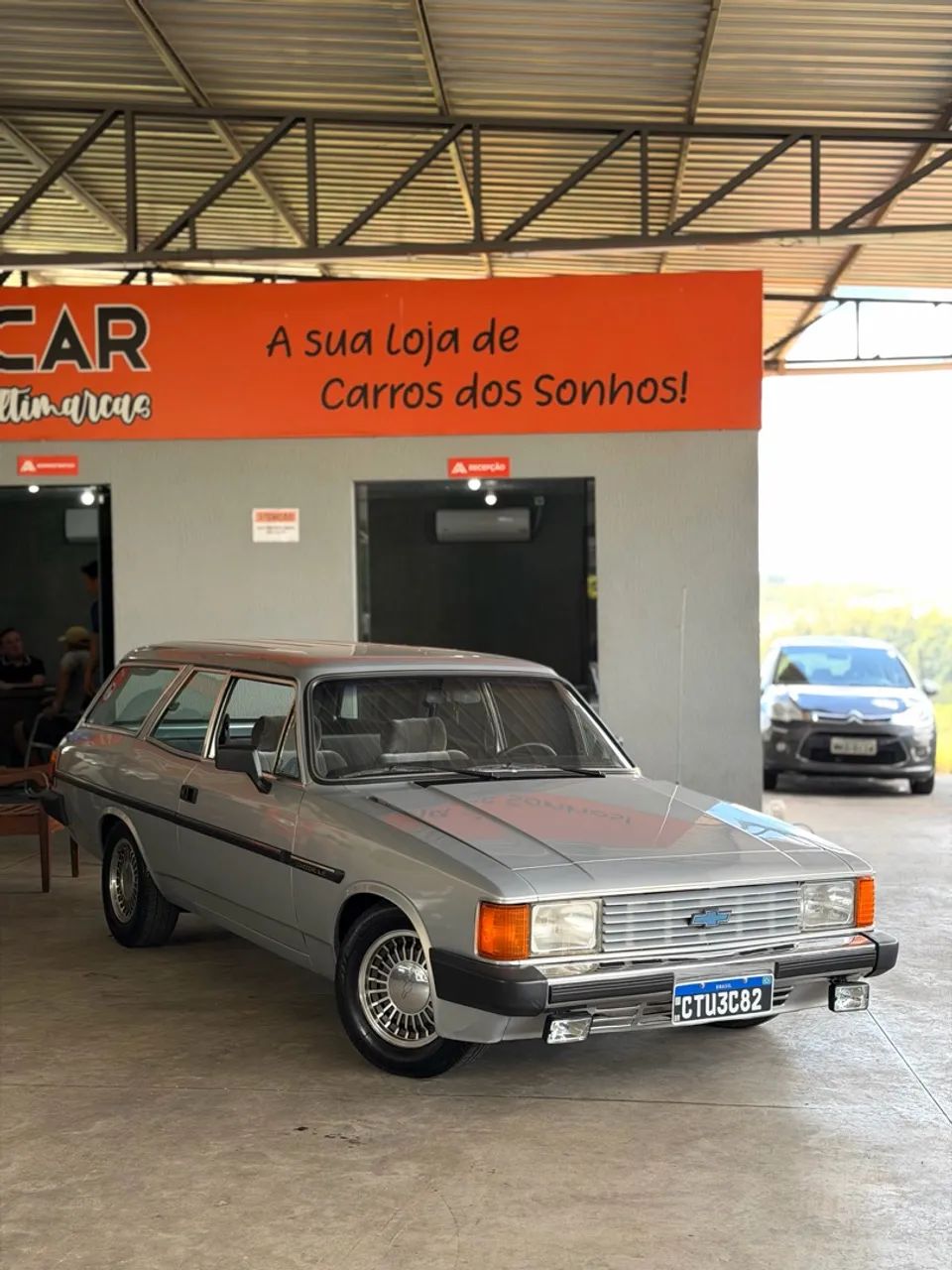 Chevrolet Caravan Caravan L/SL/S/SS 2.5/4.1/4.2 1986