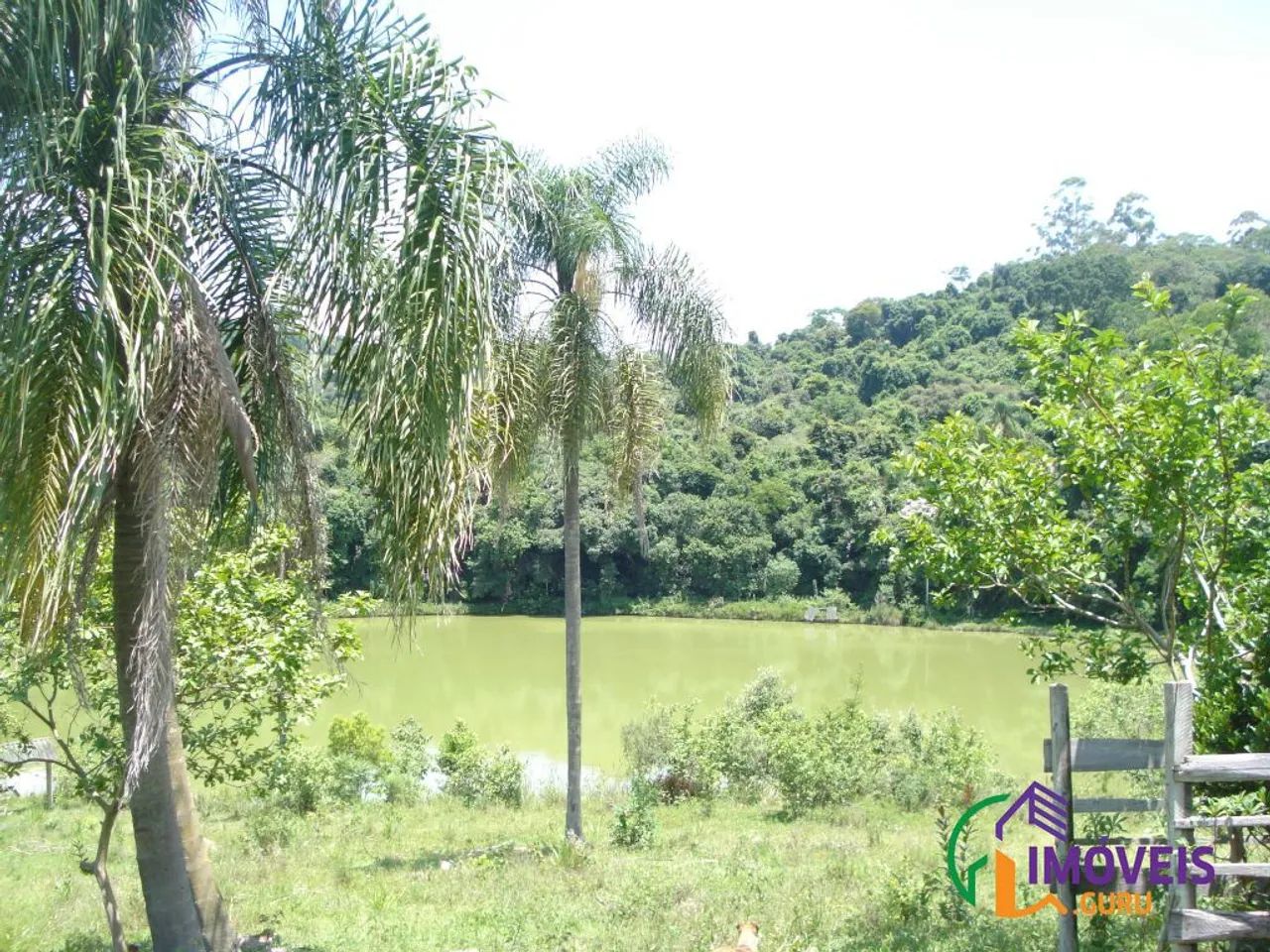 AREA - JARDIM SANTO ANTÔNIO - SP - Foto 2
