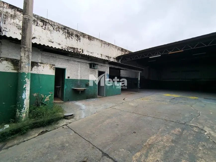 Aluguel Barracão OSVALDO REZENDE - Foto 3
