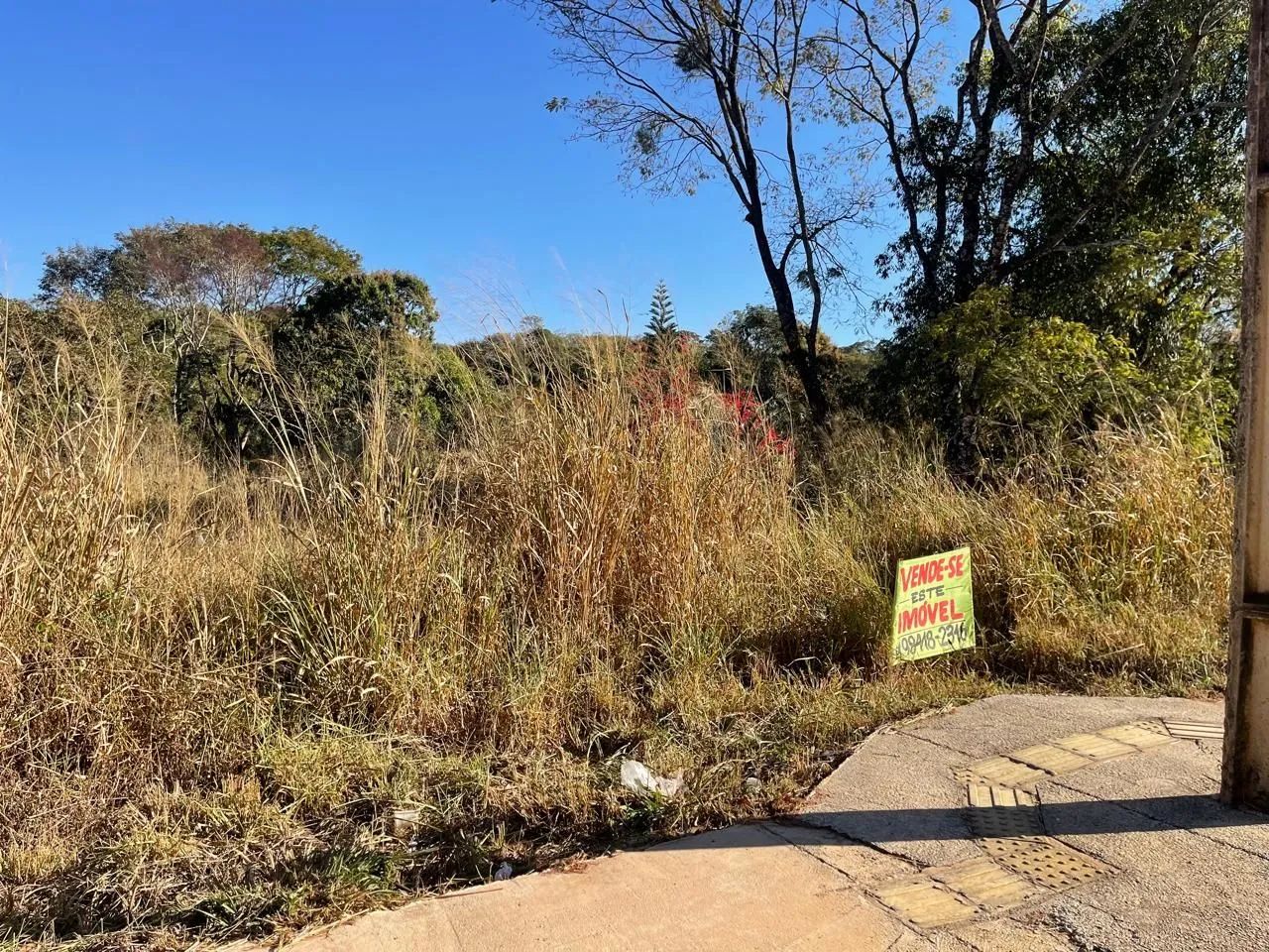 Chácara de 2.440 Cidade Ocidental. - Foto 5