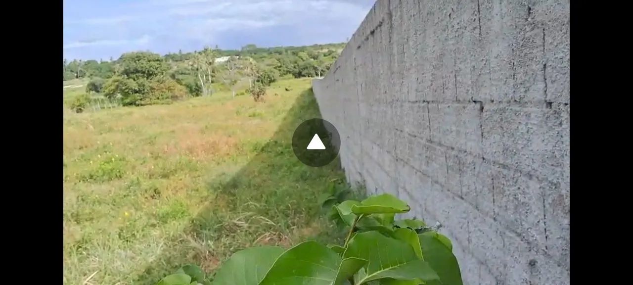 Vendo Terreno em Pidoretama - Foto 2