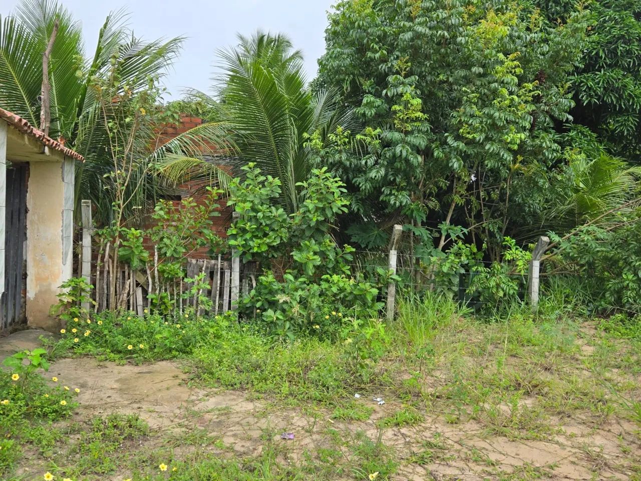 Vendo sítio povoado Jurubeba - São Cristóvão  - Foto 3
