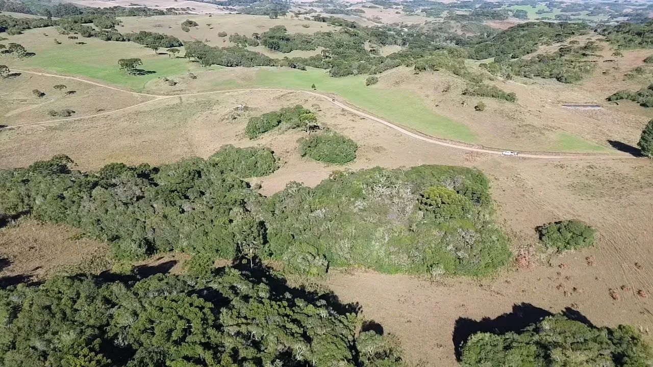 LINDA CHÁCARA 
