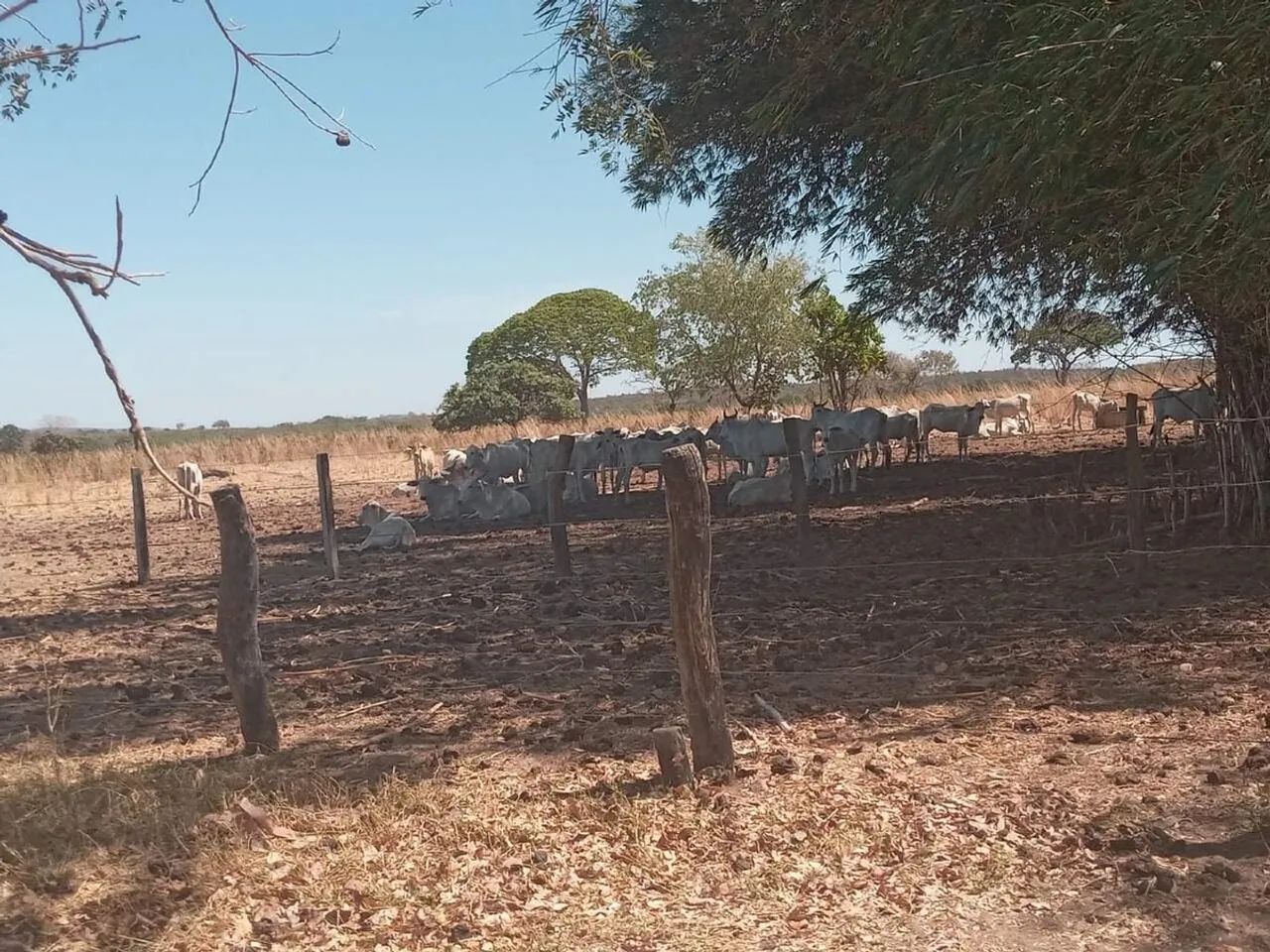 Imóvel rural, 668 m² no Zona Rural em Natividade - Foto 3