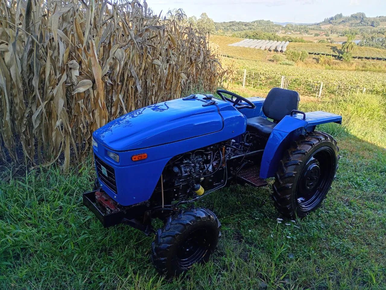 Trator Green horse 4x4 e reduzido mais super redutor e pneus