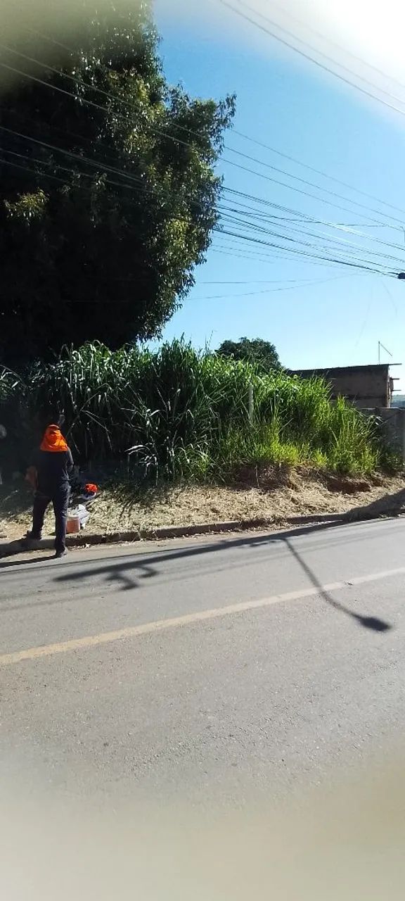 Limpeza de terreno - Foto 5