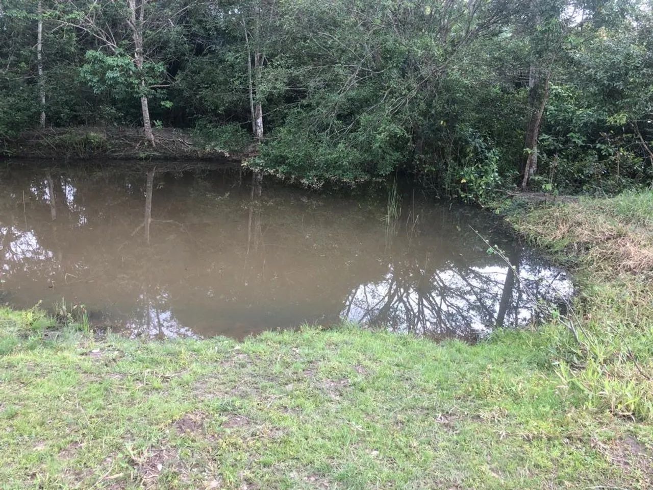 Sítio / Chácara - 2.300m2 - Foto 2