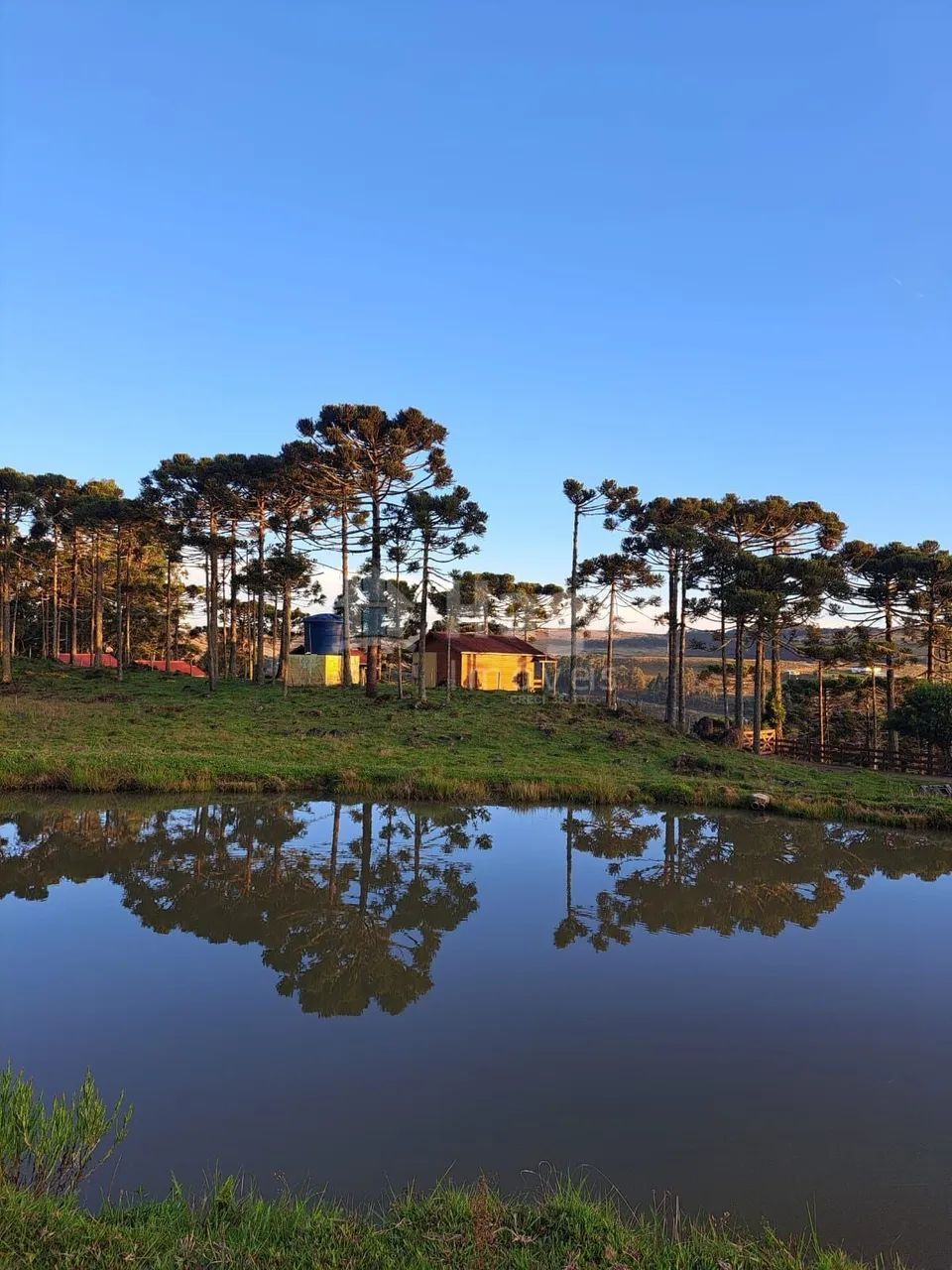 Sítio à venda em Bom Jardim da Serra