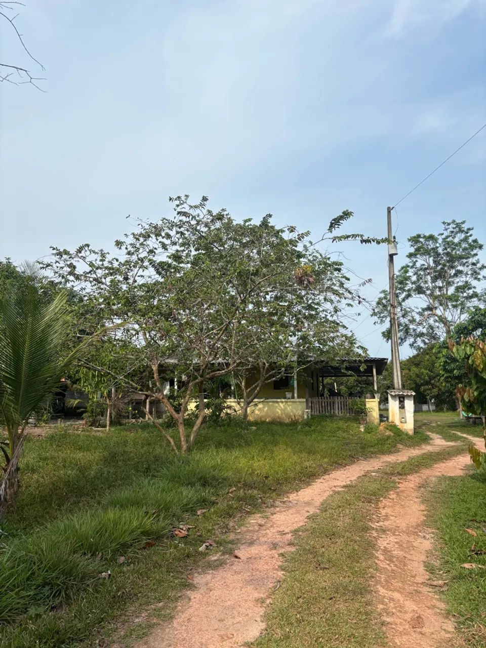 Sítio na BR 174 - KM 125 - Foto 5