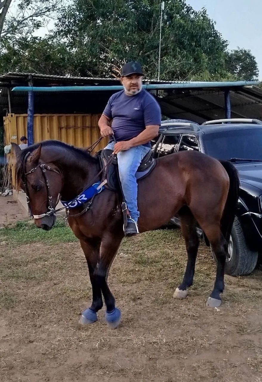 Vendo e troco  - Foto 4