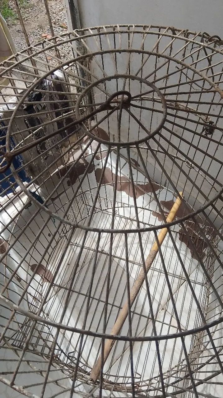 Gaiola para aves  - Foto 2