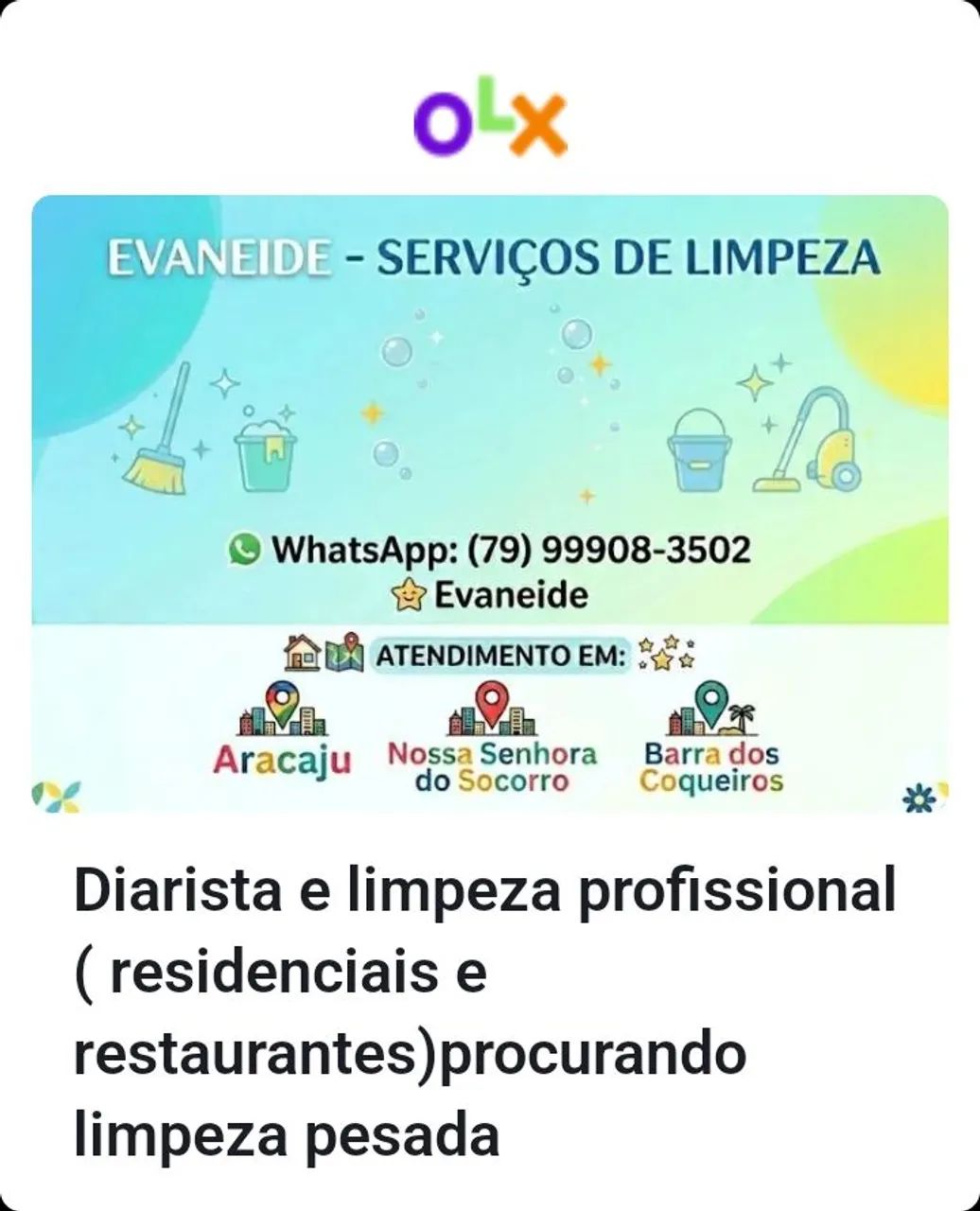 Diarista e limpeza  profissional ( residenciais e restaurantes) 