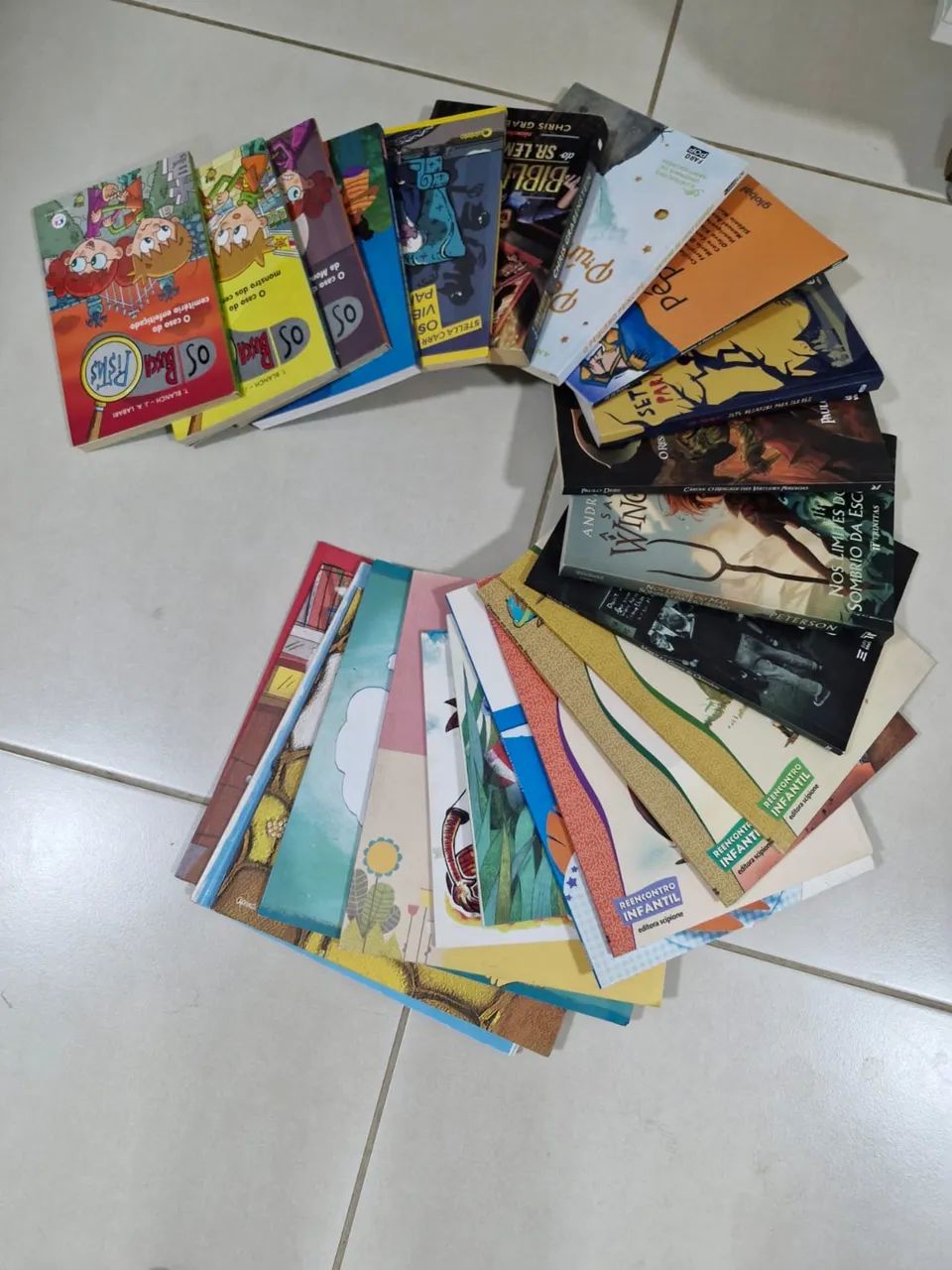 Livros literários diversos