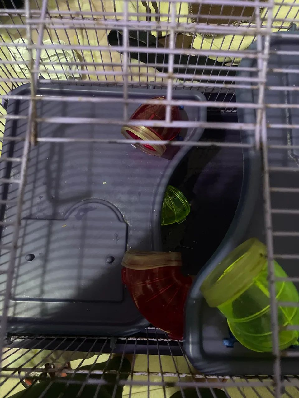 Gaiola pra roedores - Foto 5