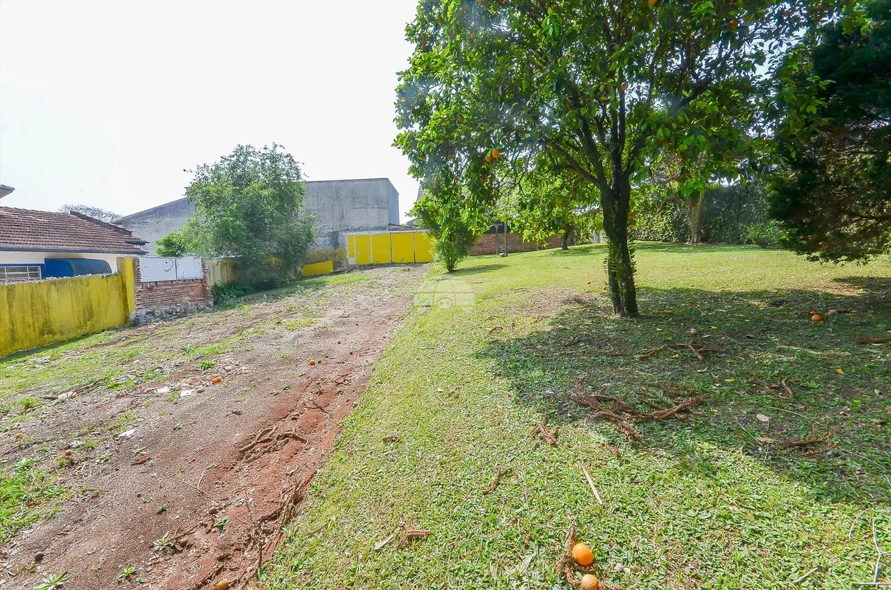 Vendas Terreno Curitiba PR - Foto 5