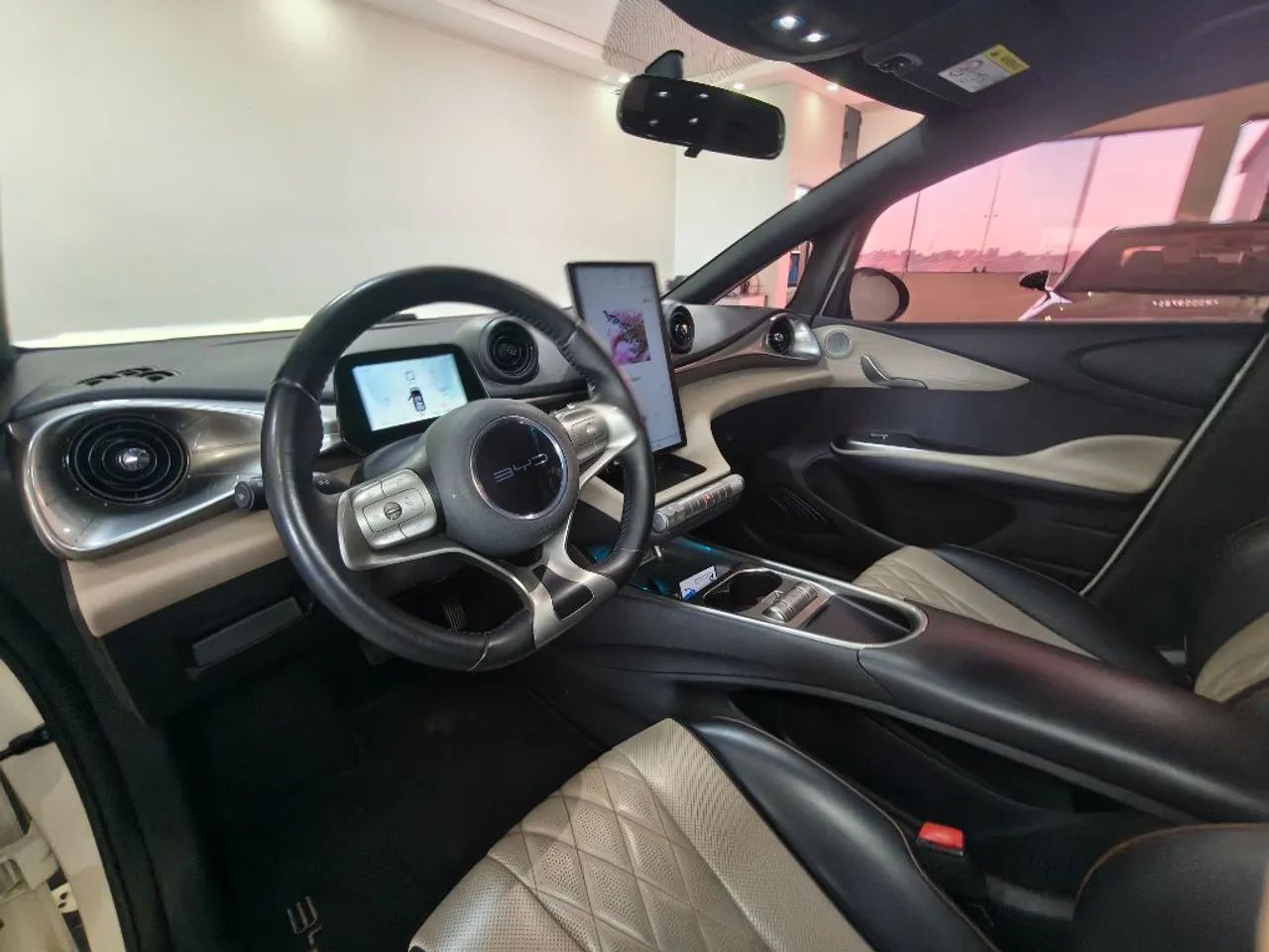 BYD Dolphin EV (Elétrico) 2024 - Foto 2