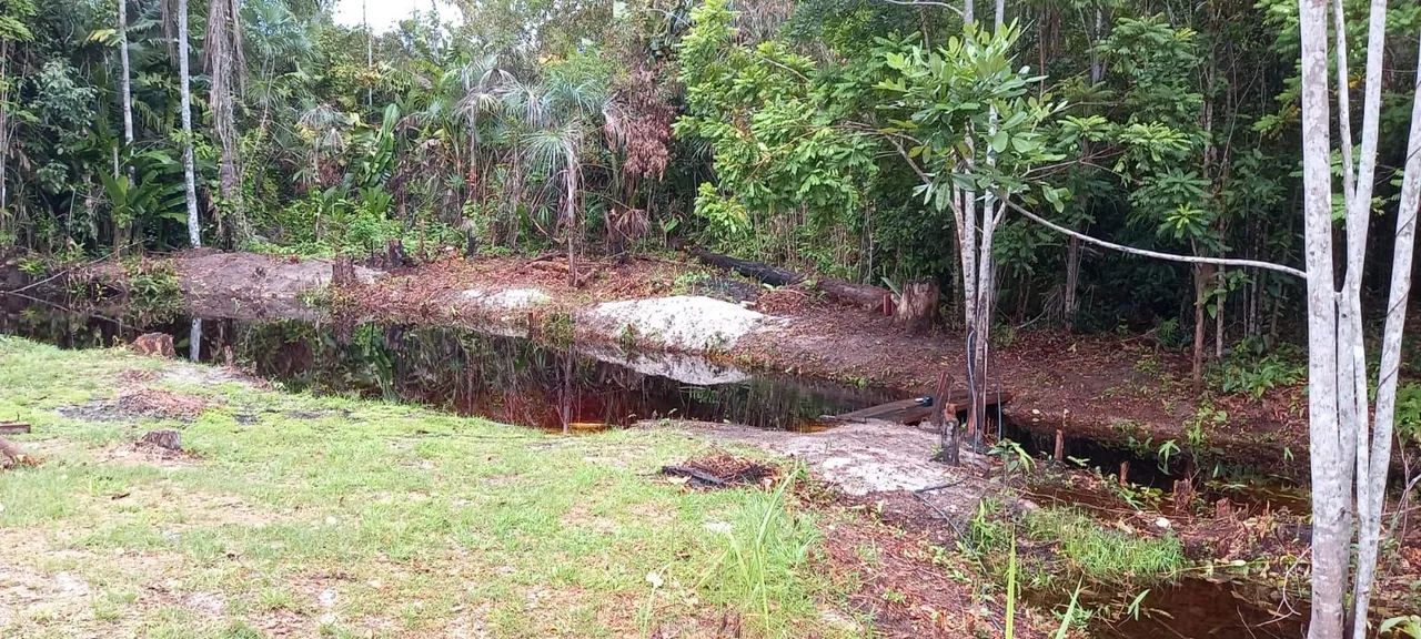 Venda - Foto 4