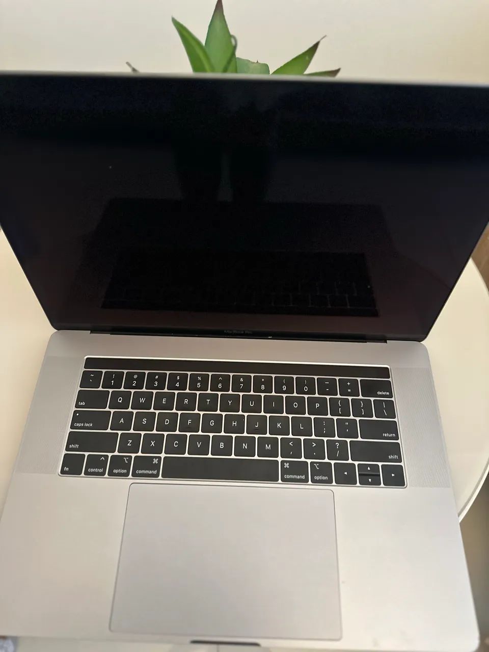 MacBook Pro 32gb ram 