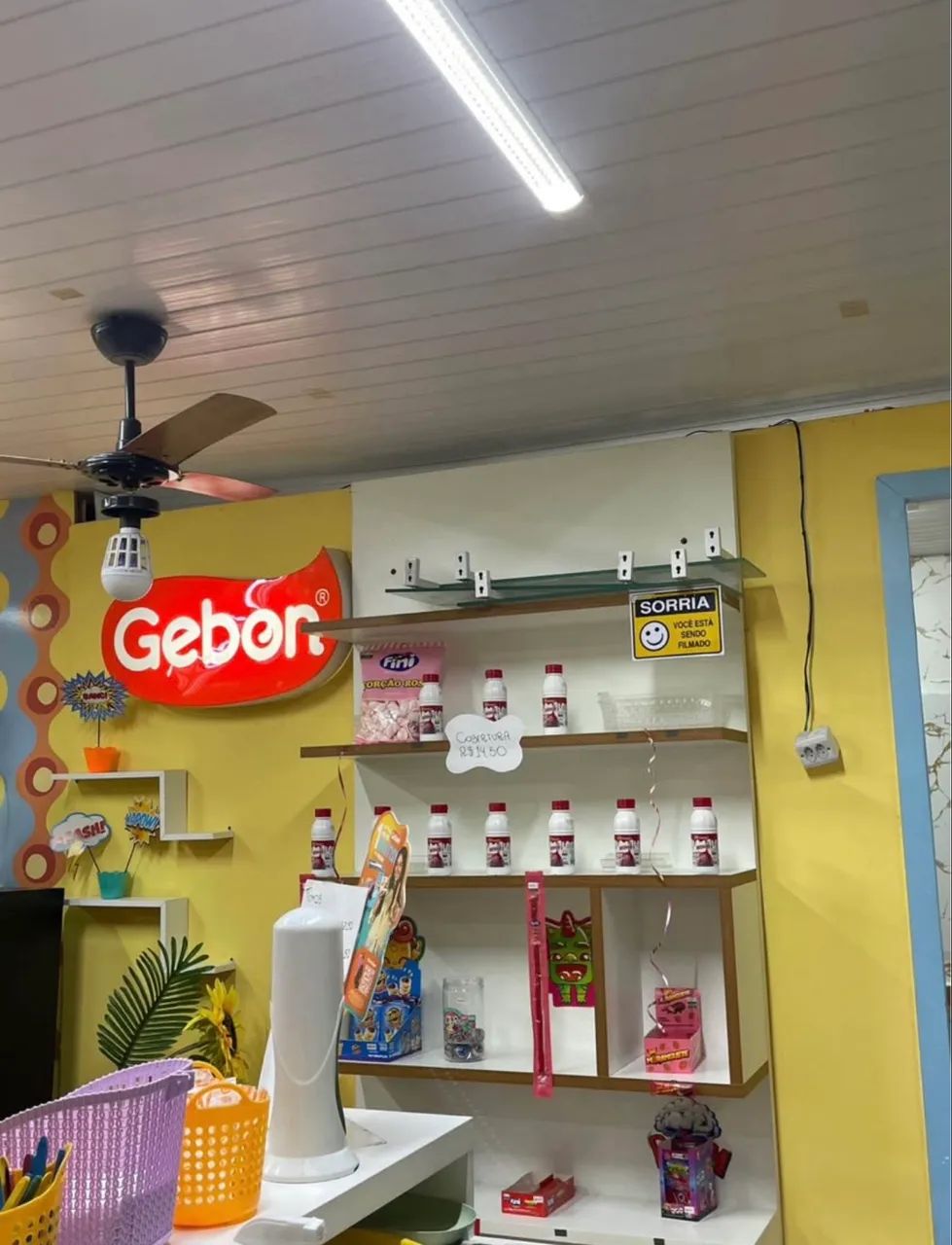 Gebon Bley Zornig a venda  - Foto 3