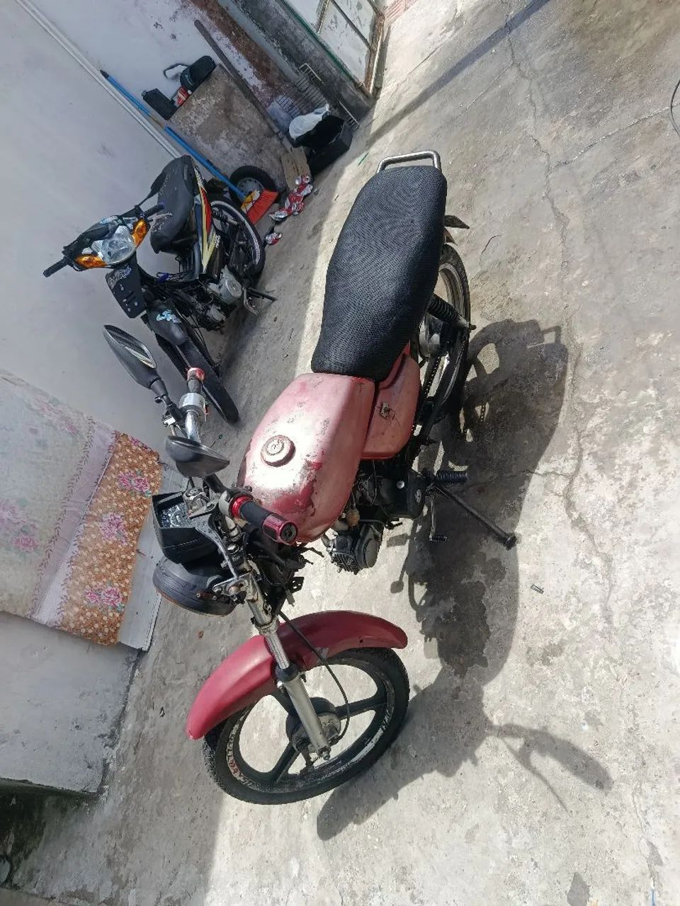 Bull 50 
