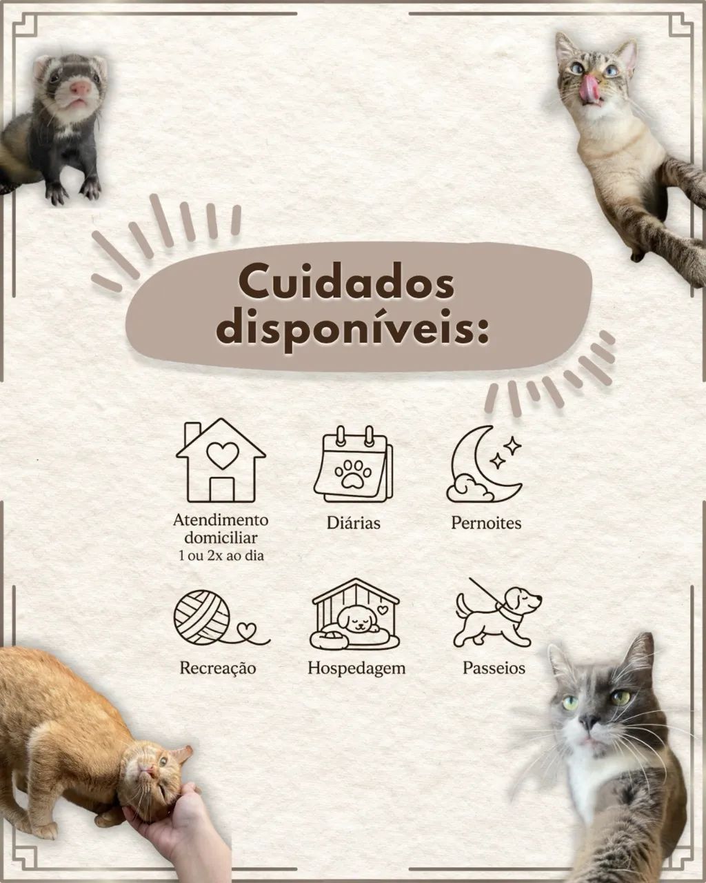 Cuidadores de Pet/Catsitter/Petsitter - Foto 2
