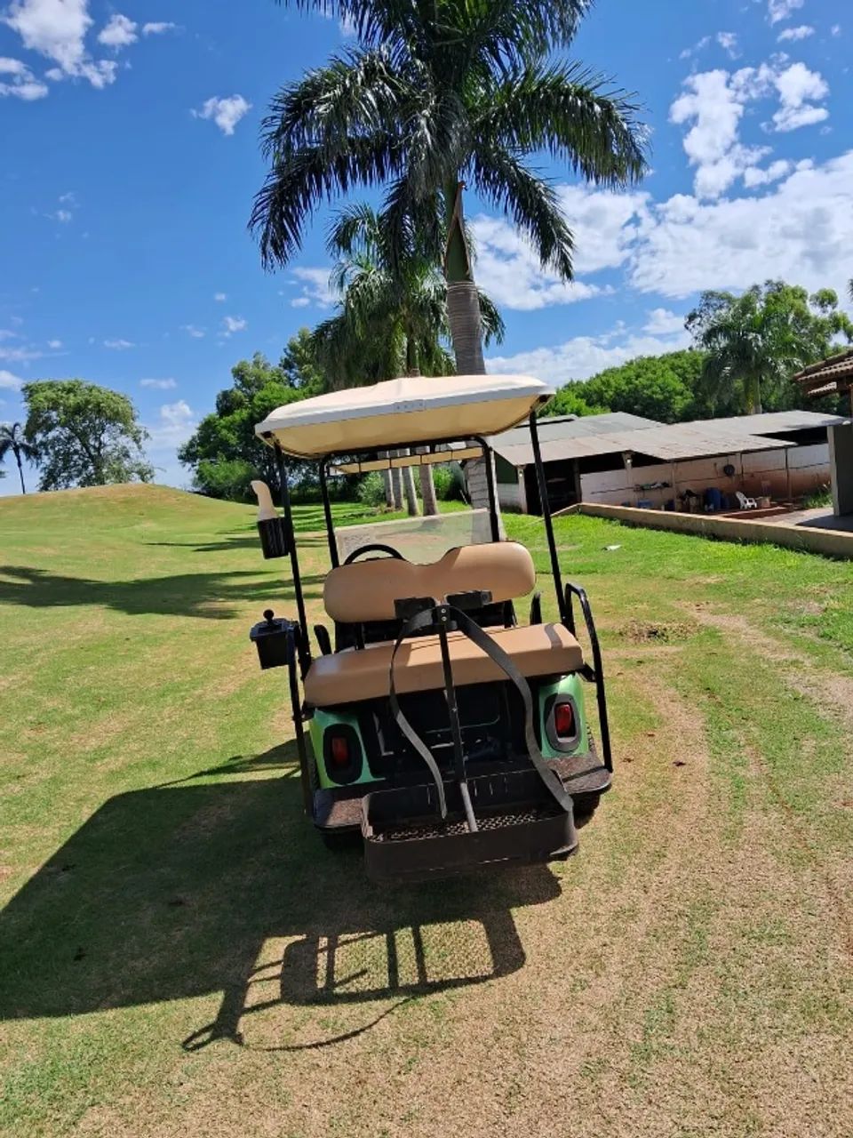 Carrinho de Golfe