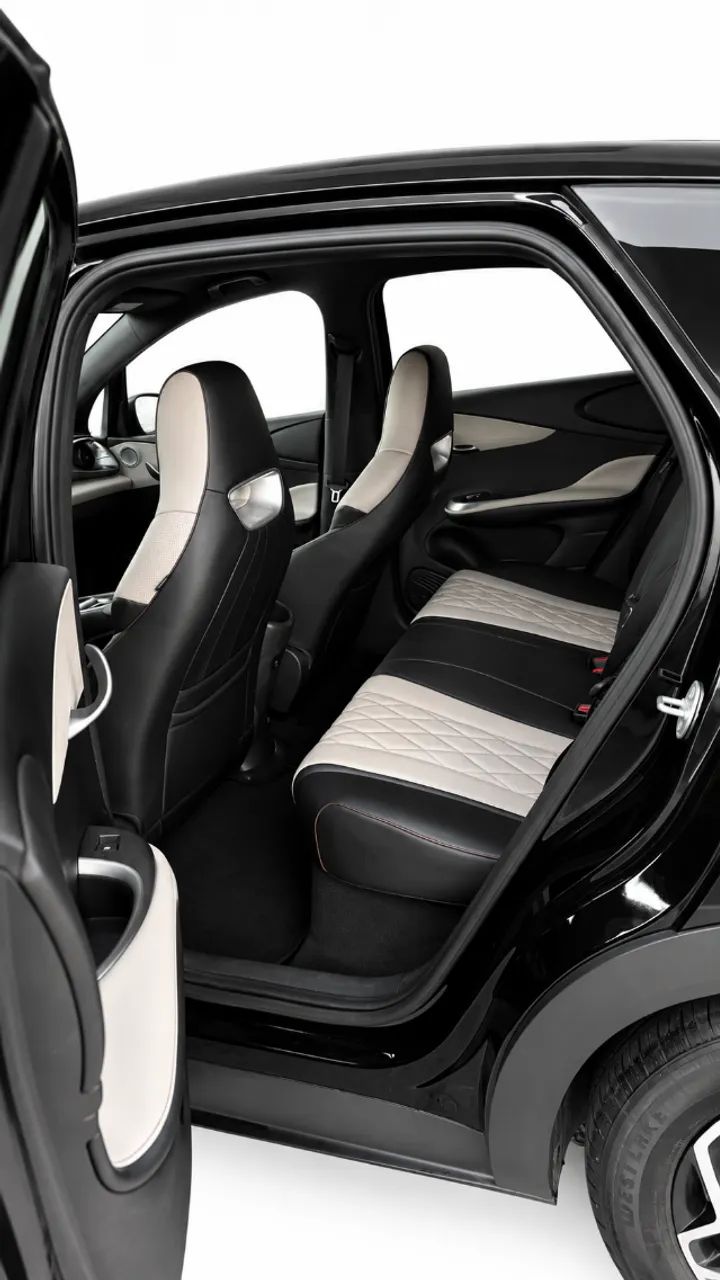 BYD Dolphin EV (Elétrico) 2024 - Foto 2