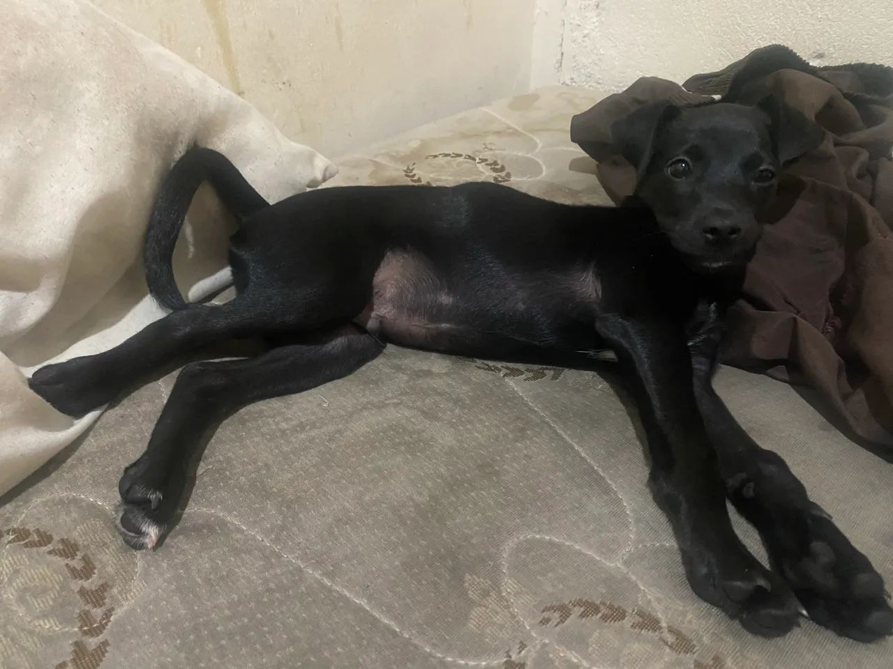 ? DOAÇÃO RESPONSÁVEL 